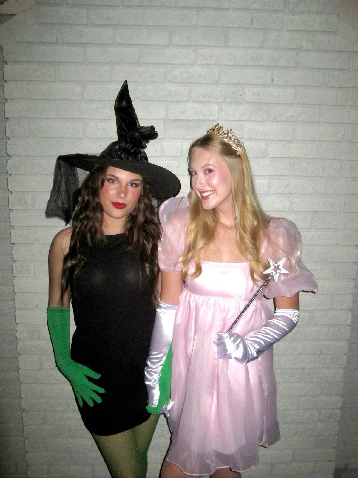 Glinda And Elphaba Halloween Costumes Glinda And Elphaba Halloween Costumes